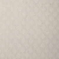 DII® Succulents Swedish Dishcloth, 3ct.