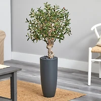 3.5ft. Olive Tree in Gray Cylinder Planter