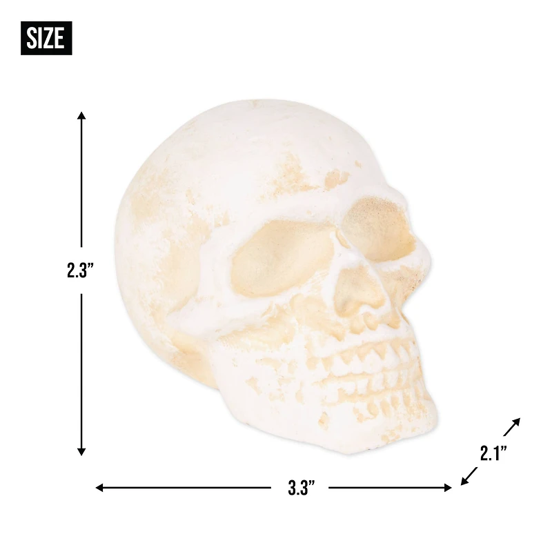 DII® Human Skull Cast Iron Paperweight