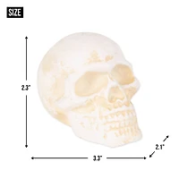 DII® Human Skull Cast Iron Paperweight