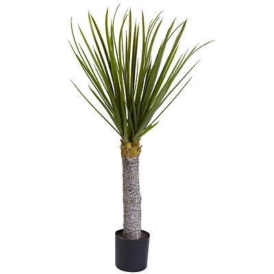 3ft. Potted Yucca Tree
