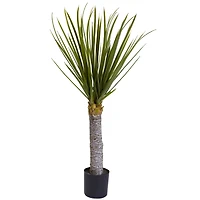 3ft. Potted Yucca Tree