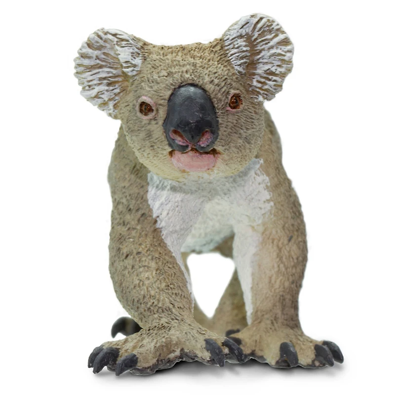 Safari Ltd® Koala Toy