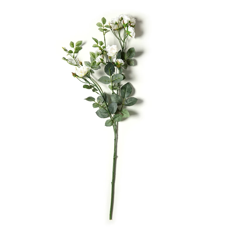 Cream Kate Rose Stem by Ashland®