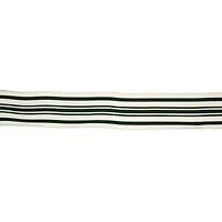 1.5" x 30ft. Green Ticking Ribbon by Celebrate I