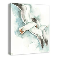 Coastal Seagulls 16" x 20" Canvas Wall Art