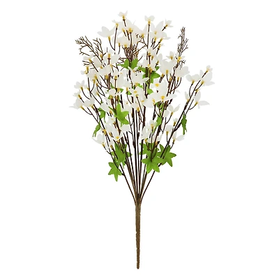 21" Forsythia Bush by Ashland