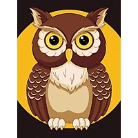 Wizardi Diamond Painting Kit Night Owl