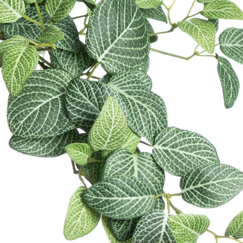 13" Hanging Fittonia UV Bush by Ashland®