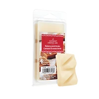 Christmas Scented Wax Melts by Ashland