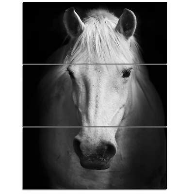 Designart - White Horse Black and White