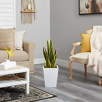 2.5ft. Snake Plant in White Metal Planter