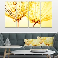 Designart - Dandelion Seeds with Water Drops