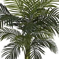 4ft. Potted Golden Cane Palm Tree
