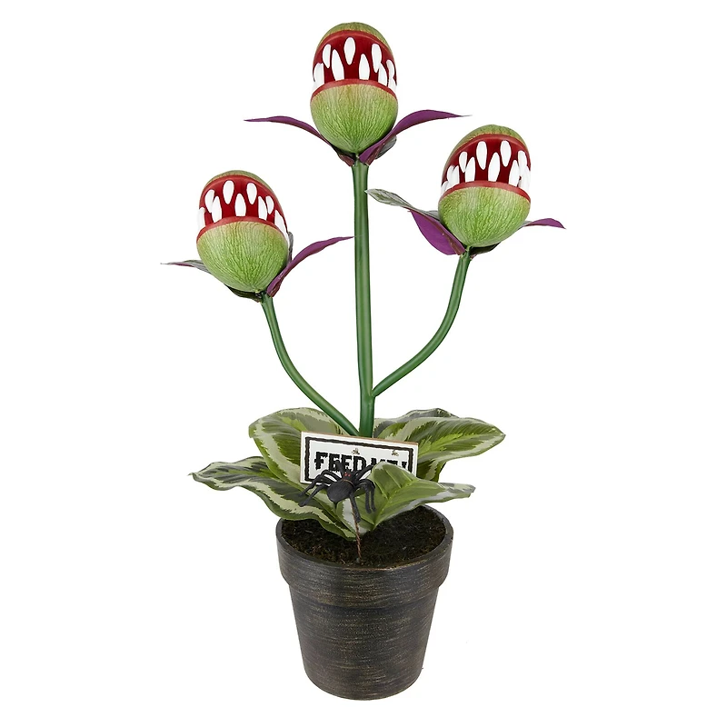 24" Venus Flytrap Trio in Rustic Black Pot by Ashland®