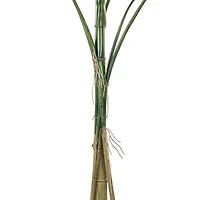 4.5ft. Potted Grand Split Philodendron Tree