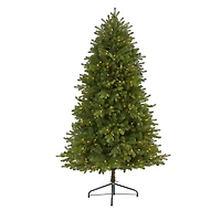 5.5ft. Pre-Lit Washington Fir Artificial Christmas Tree, Clear LED Lights