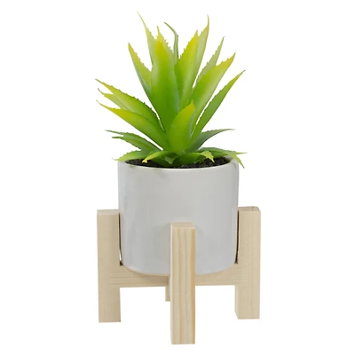 8.25" Potted Green Agave Plant with Wooden Stand
