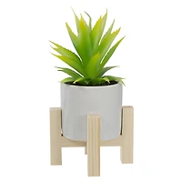 8.25" Potted Green Agave Plant with Wooden Stand