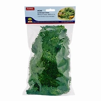 JTT Scenery Products Green Landscape Lichen