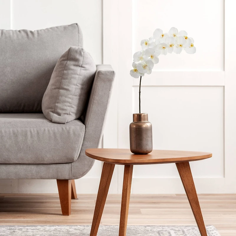 White Moth Orchid Stem, 3ct.