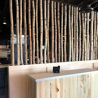 Wilson® Enterprises White Birch Pole Pack