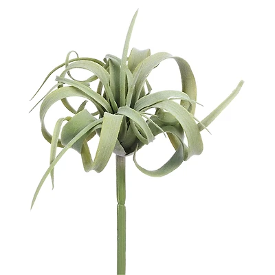 Light Green Gray Tillandsia Pick