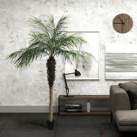 7ft. Potted Phoenix Palm Tree