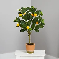 2ft. Lemon Tree in Brown Planter