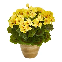 11" Yellow Geranium in Ceramic Planter