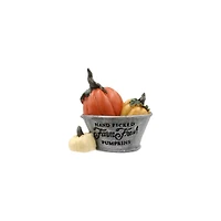 Mini Bucket of Pumpkins by Ashland®