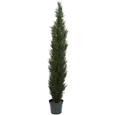 7ft. Potted Mini Cedar Pine Tree