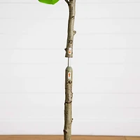 5ft. Artificial Petite Audrey Ficus Tree