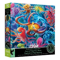 Assorted Deluxe 750 Piece Puzzle