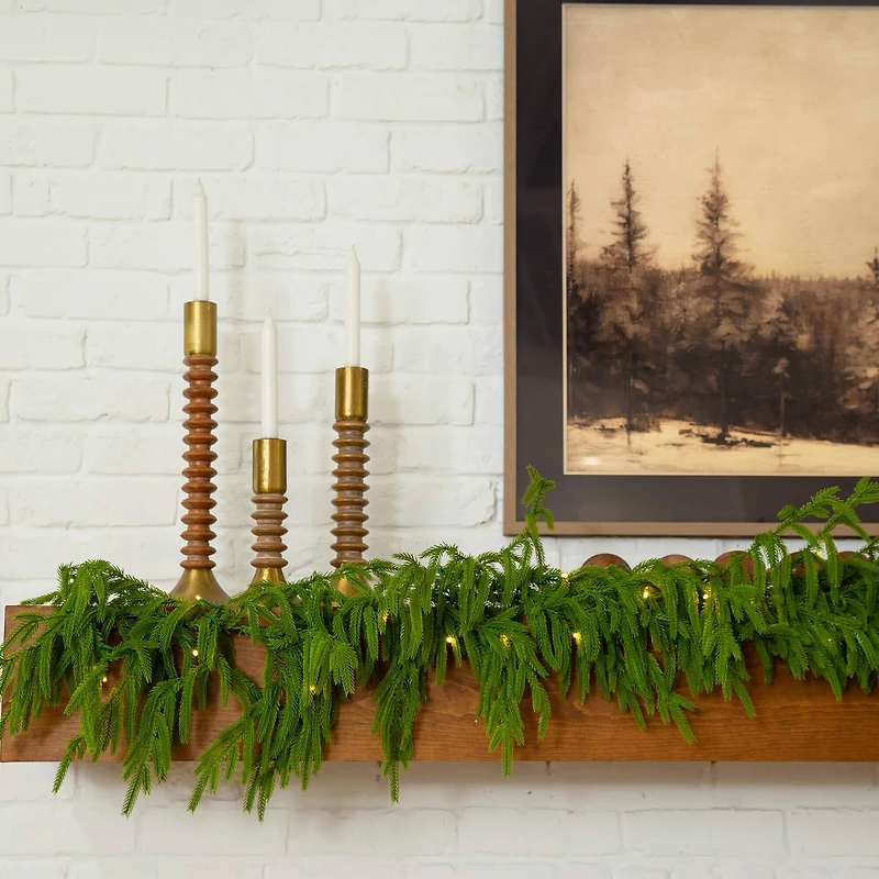 9ft. Pre-Lit Artificial Real Touch Norfolk Island Pine Garland with 50 Warm White LED Lights and Natural Look