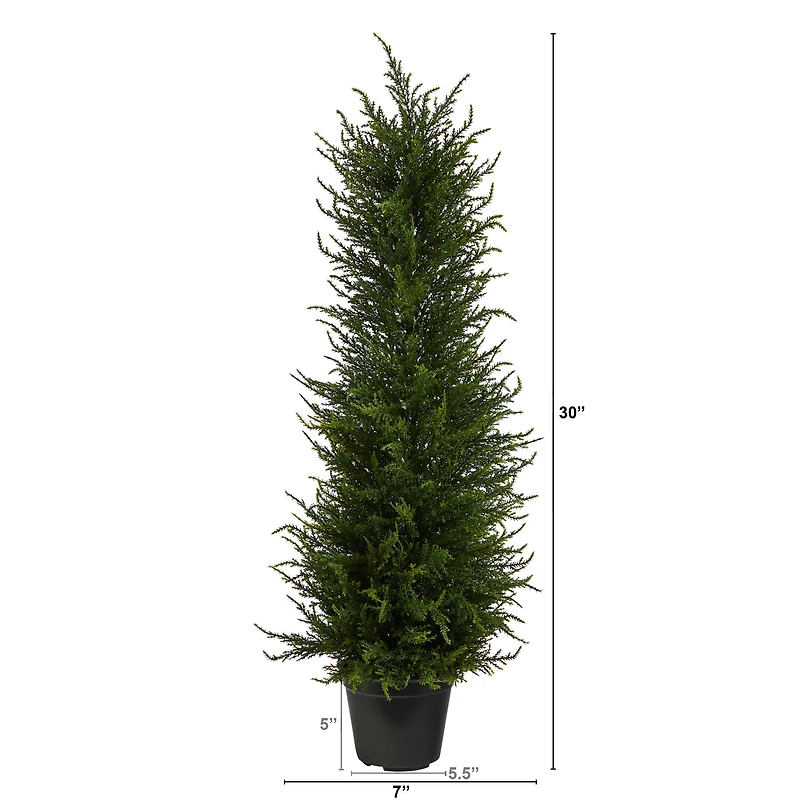 2.5ft. Potted Cypress Tree