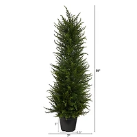 2.5ft. Potted Cypress Tree