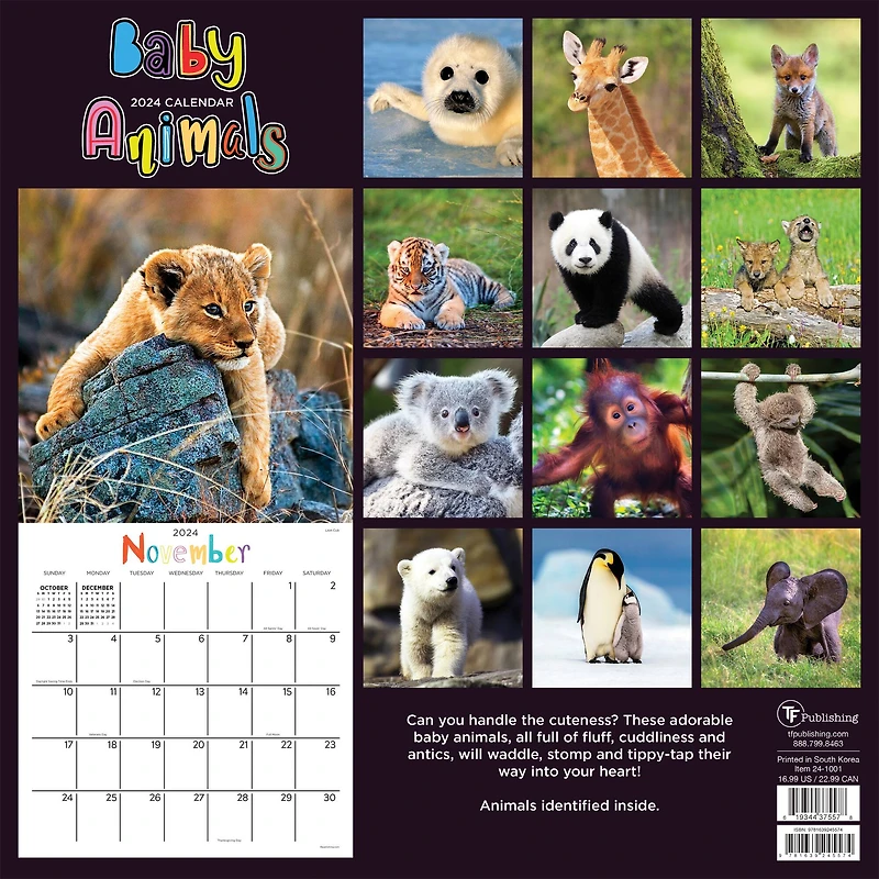 TF Publishing 2024 Baby Animals Wall Calendar