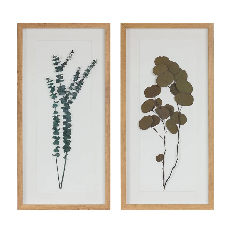 27.75" Dried Eucalyptus Frame Set