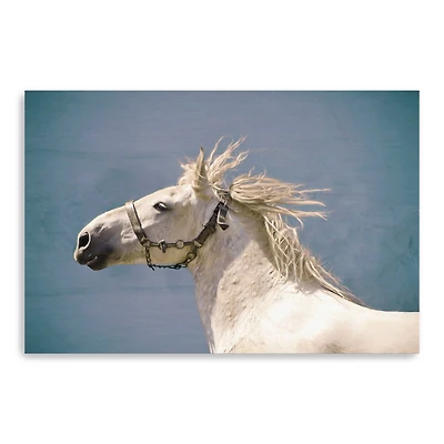 Scratch Canvas Giclee