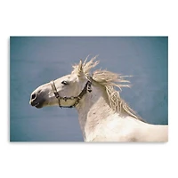 Scratch Canvas Giclee