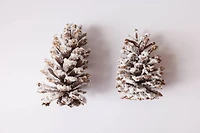 Snowy White Long Leaf Pinecones, 2ct. by Ashland®