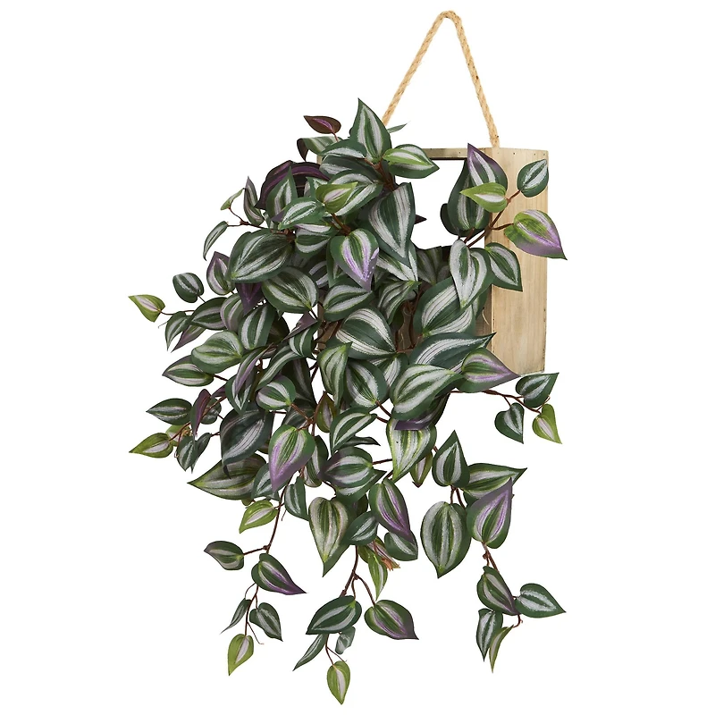 20" Wandering Jew Arrangement in Decorative Hanging Frame