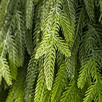 Glitzhome® 31.5"H Christmas Greenery PE Teardrop