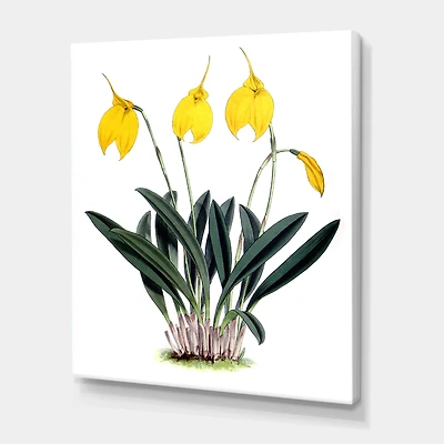 Designart - Retro Orchid Flowers