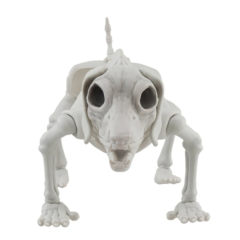 12.5" Dog Skeleton by Ashland®