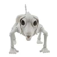 12.5" Dog Skeleton by Ashland®