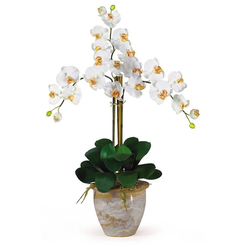 Triple Phalaenopsis Orchid Flower Arrangement In Ceramic Vase