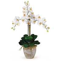Triple Phalaenopsis Orchid Flower Arrangement In Ceramic Vase