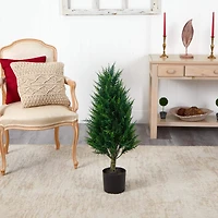 3ft. Potted Cypress Tower Tree